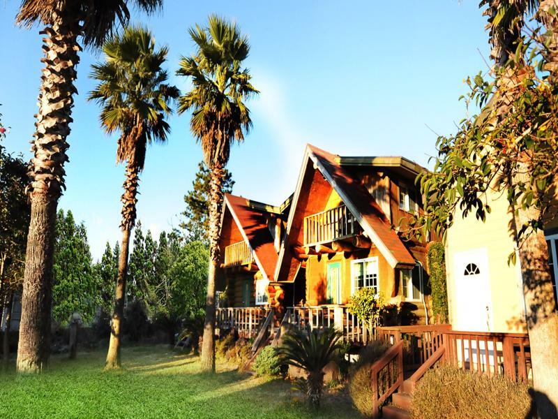 Jeju Log Village Pension 서귀포 외부 사진